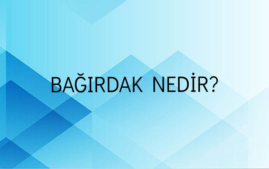 Bağırdak Nedir? 2