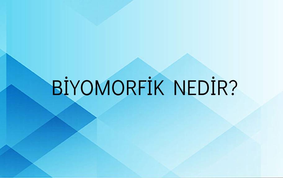 Biyomorfik Nedir? 8