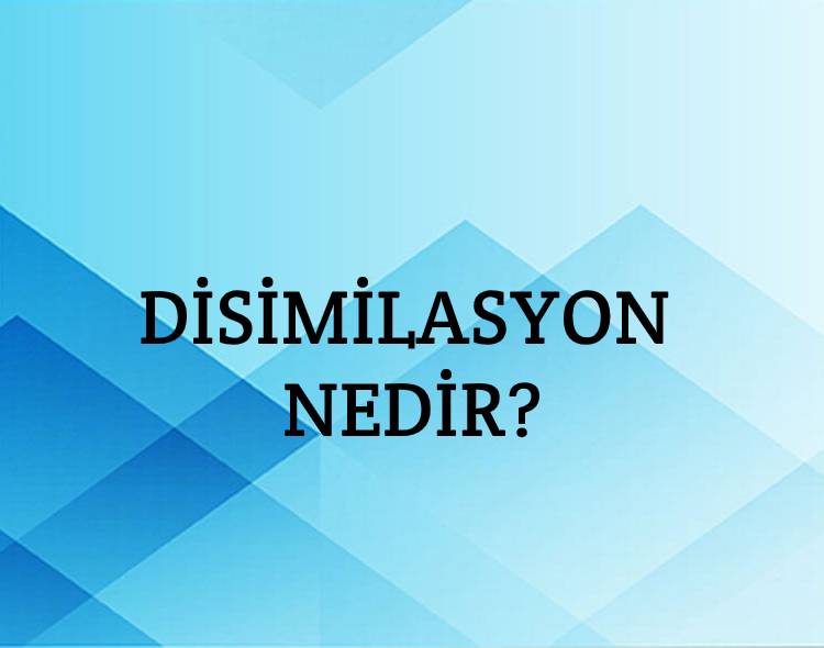 Disimilasyon Nedir? 2