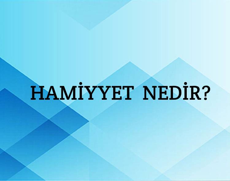 Hamiyyet Nedir? 6