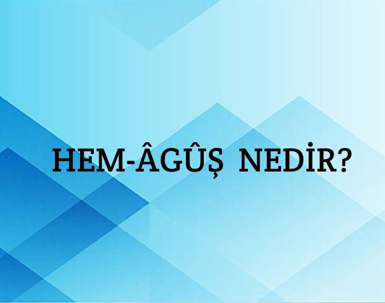 Hem-âgûş Nedir? 7