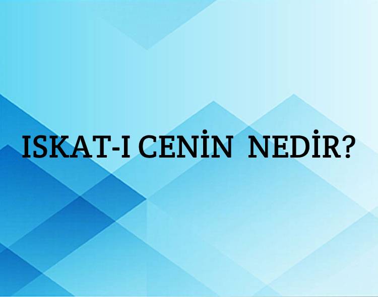 Iskat-ı cenin Nedir? 2