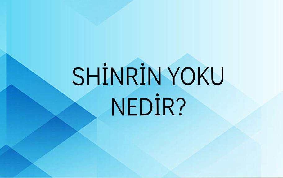 Shinrin Yoku Nedir? 1