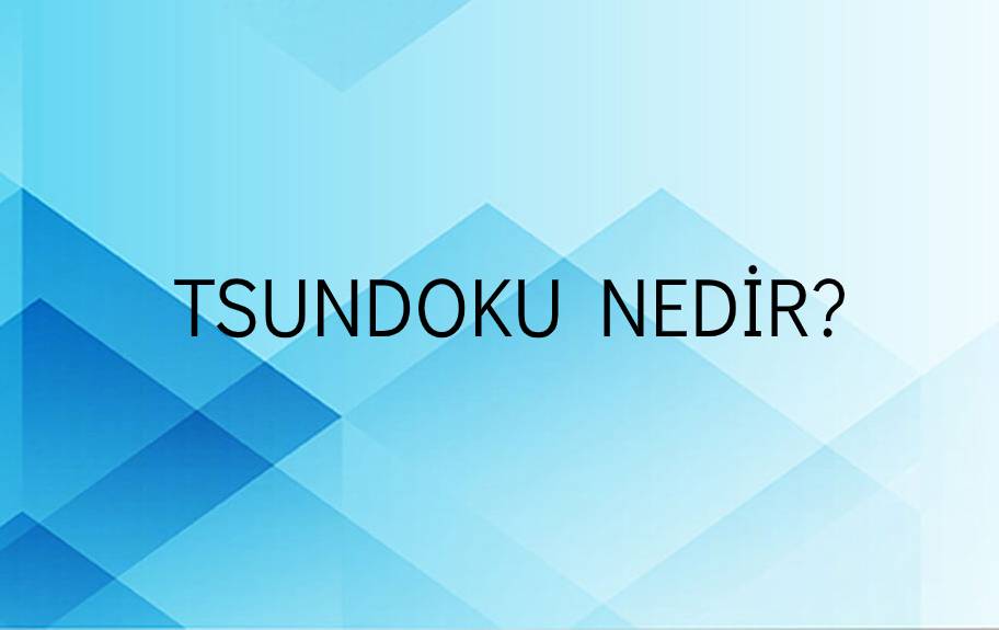 Tsundoku Nedir? 5