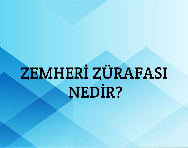 Zemheri Zürafası Nedir? 1