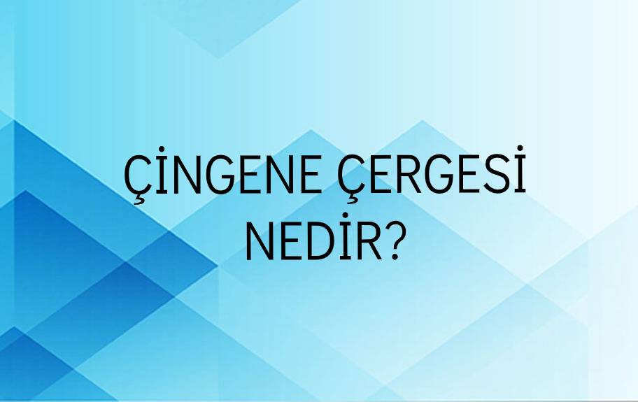 Çingene Çergesi Nedir? 1