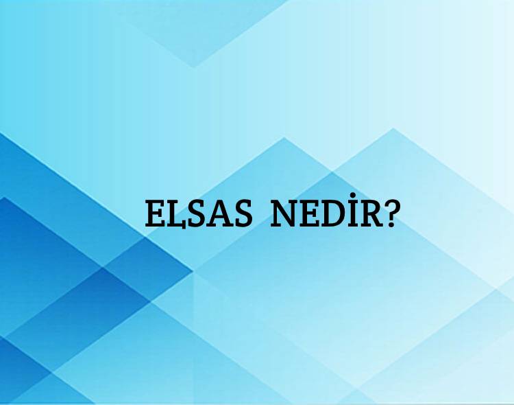 Elsas Nedir? 1