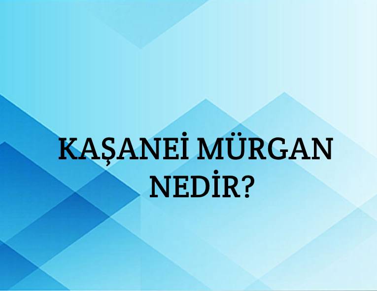 Kaşanei Mürgan Nedir? 3