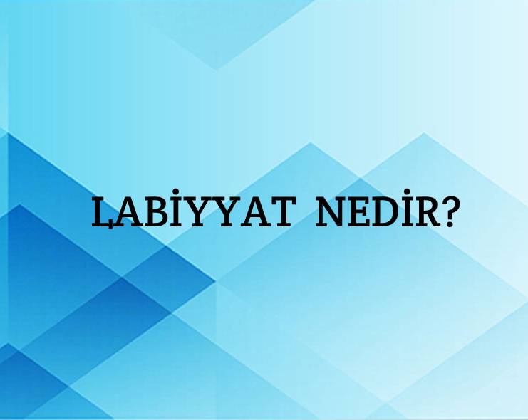 Labiyyat Nedir? 2