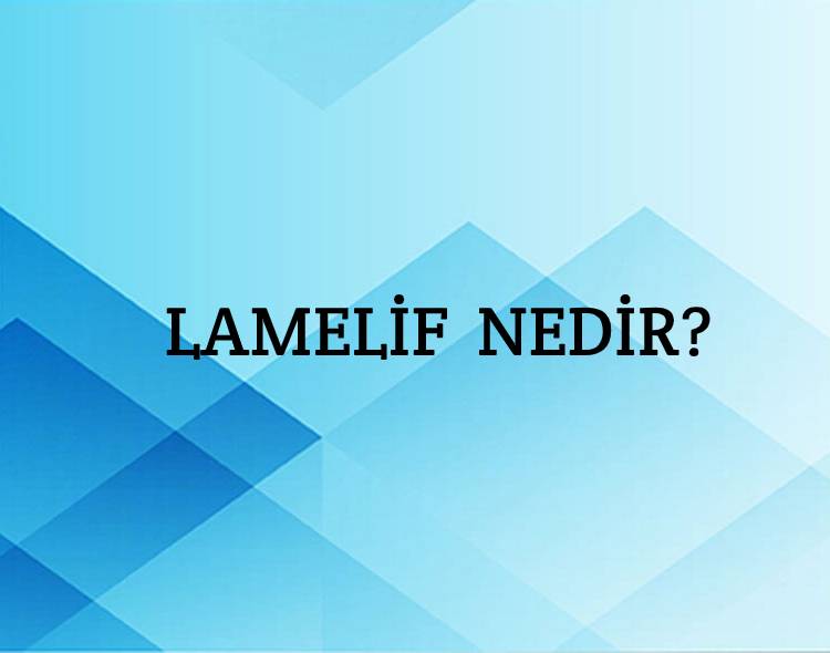 Lamelif Nedir? 2