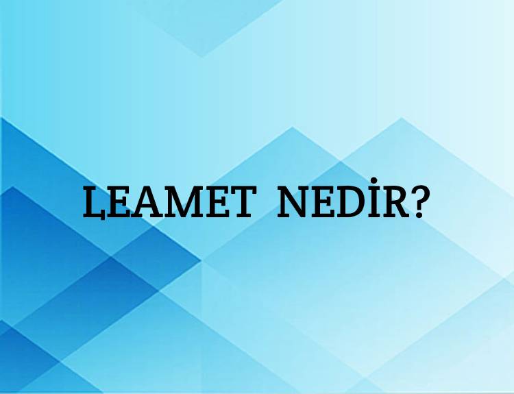 Leamet Nedir? 9