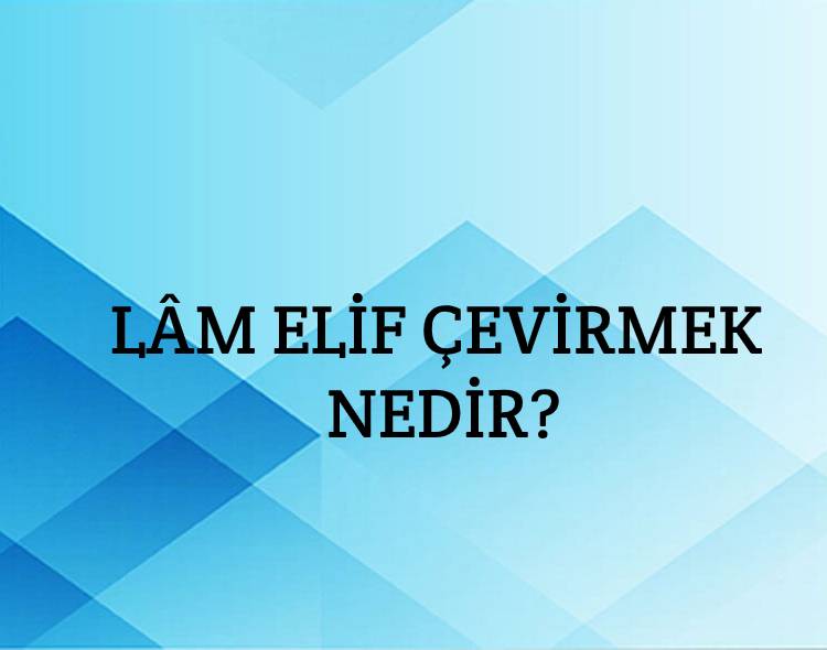 Lâm Elif Çevirmek Nedir? 1