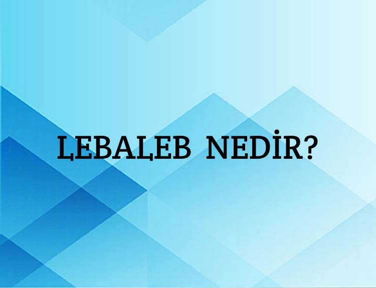 Lebaleb Nedir? 9