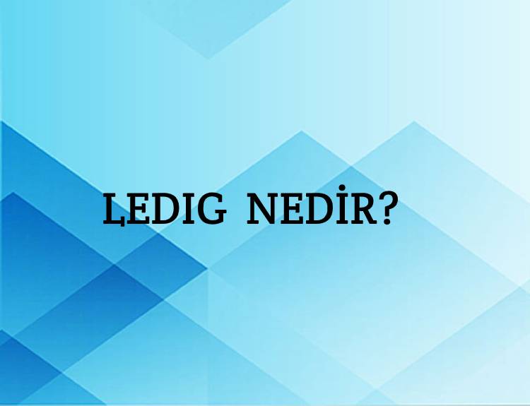 Ledıg Nedir? 1