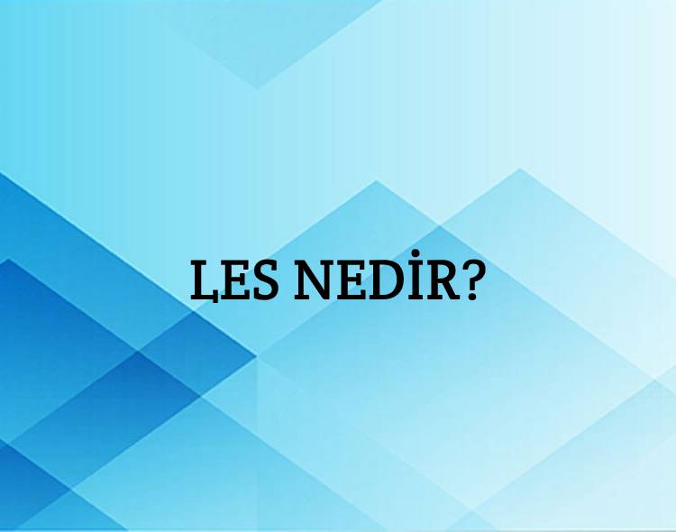 Les Nedir? 3