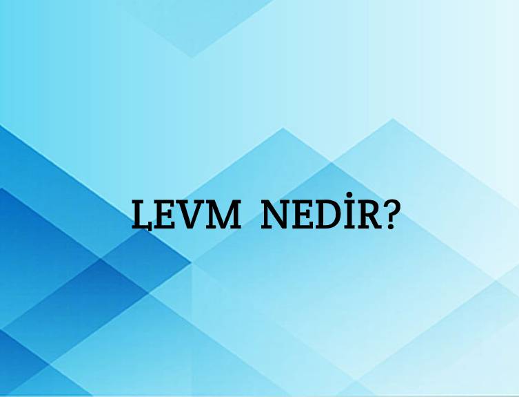 Levm Nedir? 7