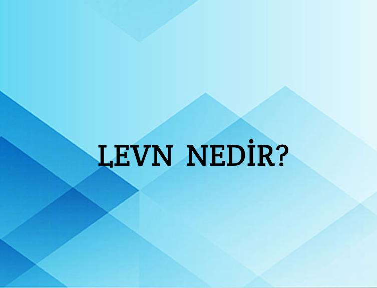 Levn Nedir? 1