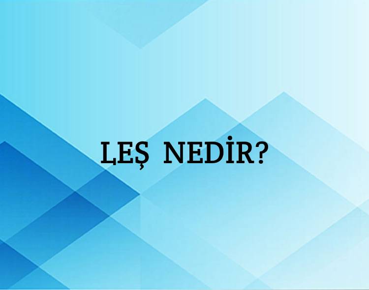 Leş Nedir? 3