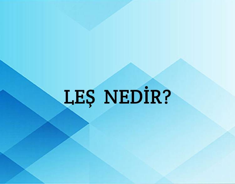 Leş Nedir? 2