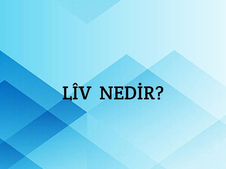 Lîv Nedir? 7