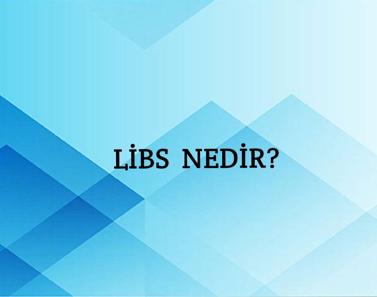 Libs Nedir? 4