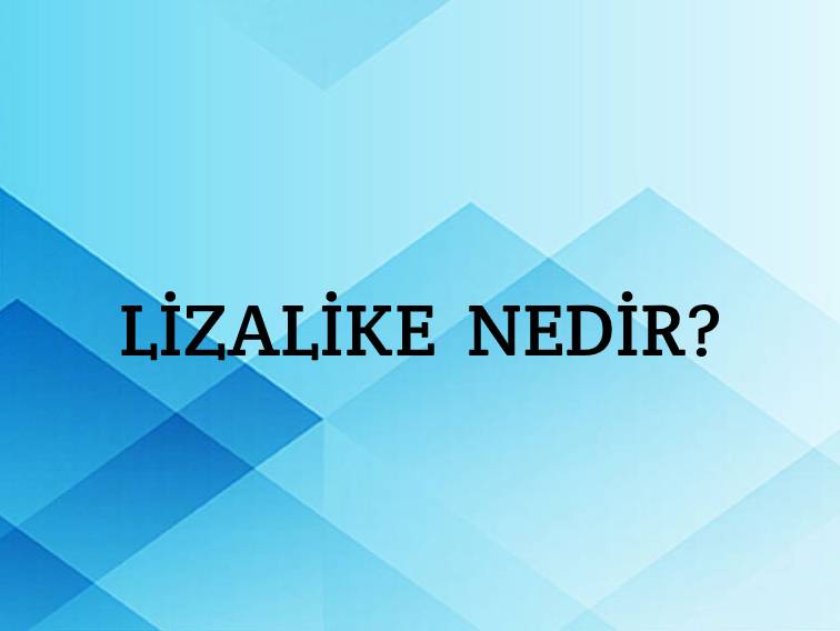 Lizalike Nedir? 9