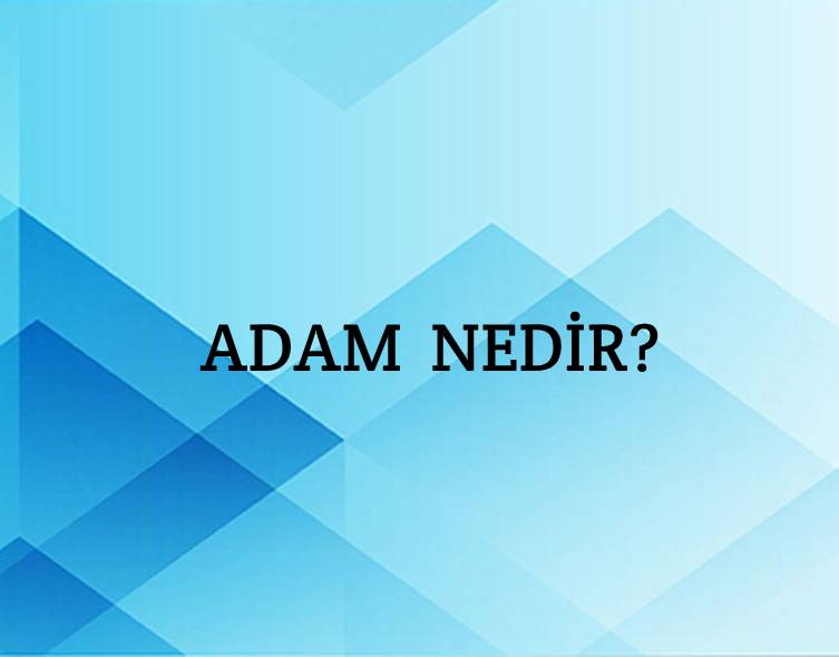 Adam Nedir? 2