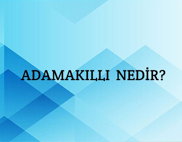 Adamakıllı Nedir? 2