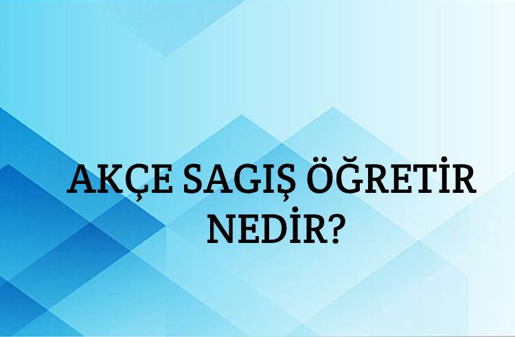 Akçe Sagış öğretir Nedir? 1