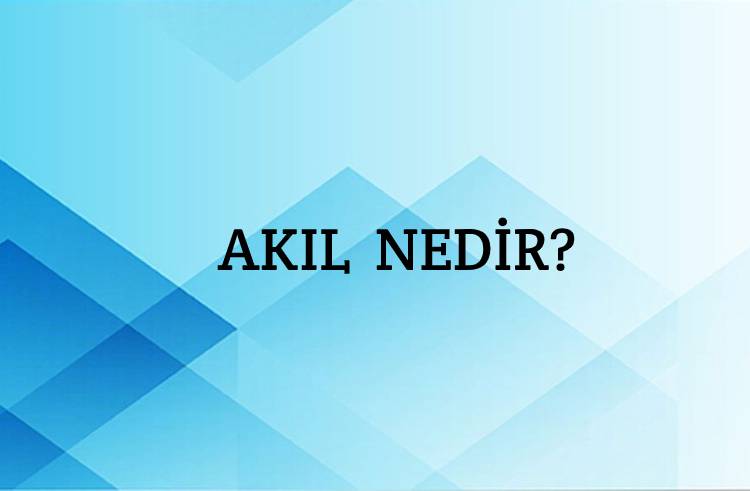 Akıl Nedir? 1