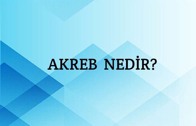 Akreb Nedir? 1