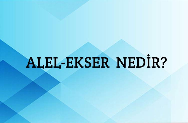 Alel-ekser Nedir? 1