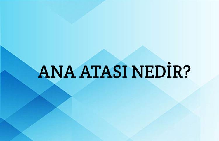 Ana Atası Nedir? 3