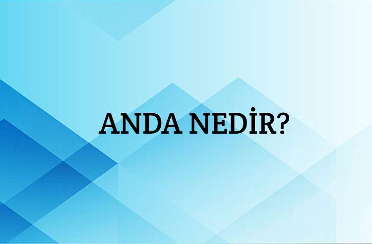 Anda Nedir? 8