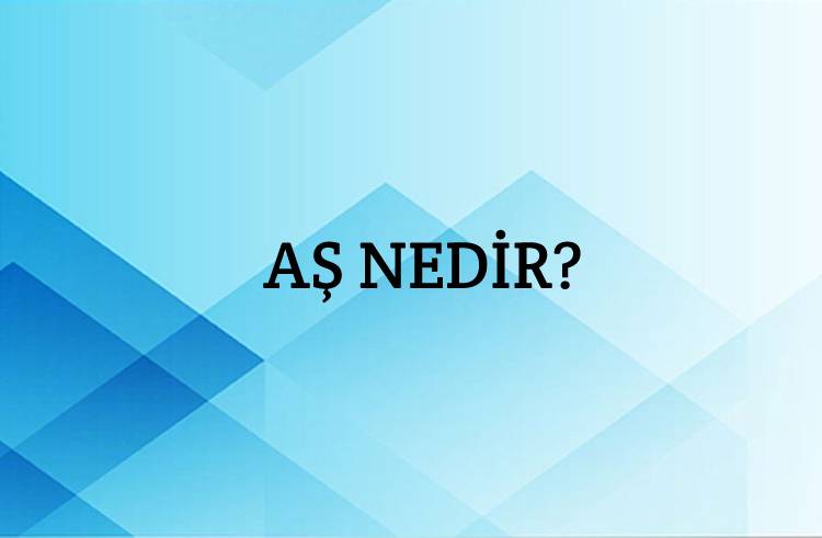 Aş Nedir? 2