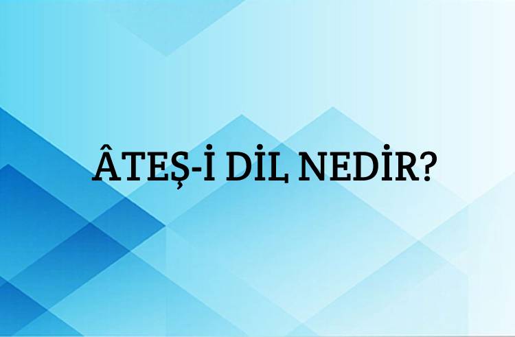 Âteş-i Dil Nedir? - Ne Demek - Zıt Anlamı - Eş Anlamı