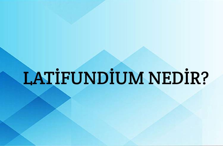 Latifundium Nedir? 1