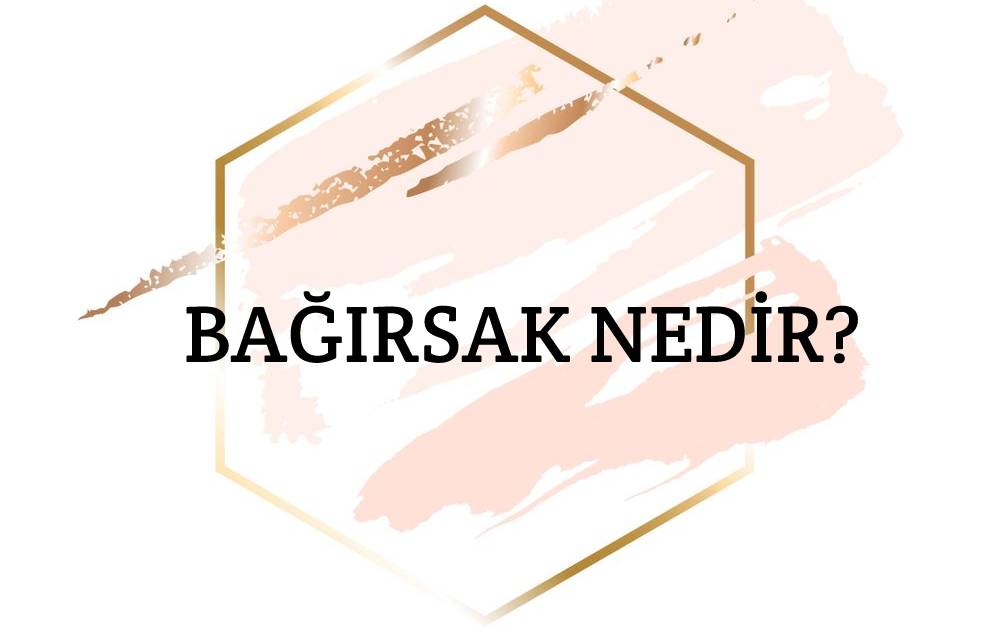 Bağırsak Nedir? 2