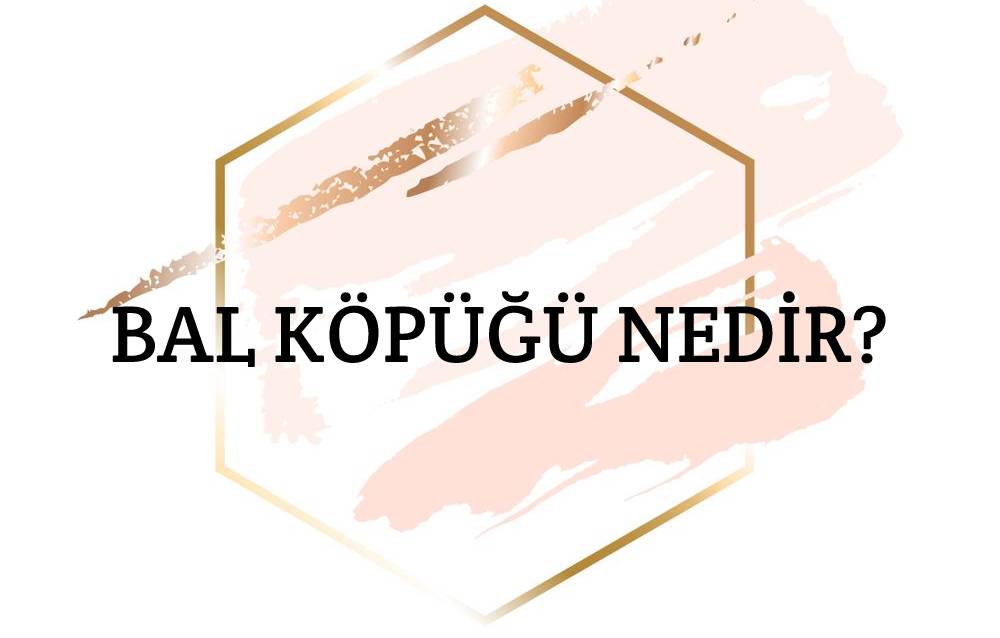 Bal Köpüğü Nedir? 1