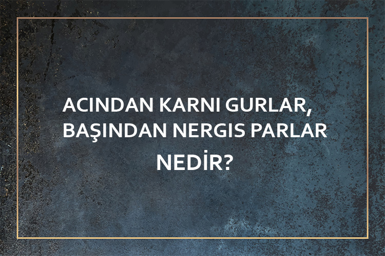 Acından Karnı Gurlar, Başından Nergis Parlar Nedir? 9
