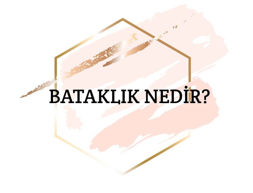 Bataklık Nedir? 1