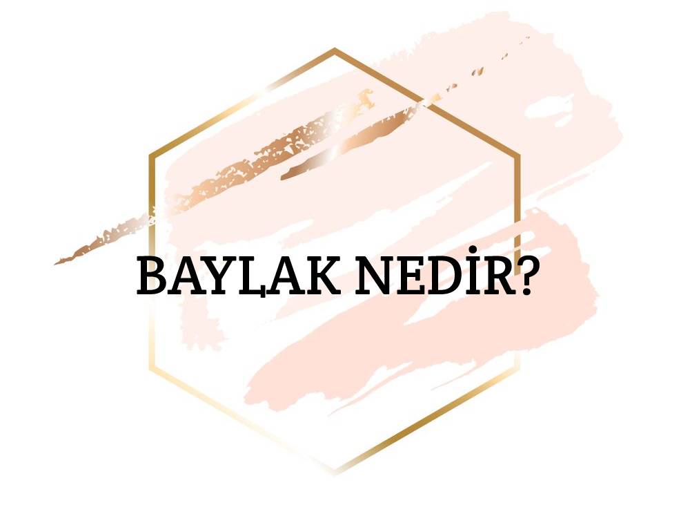 Baylak Nedir? 3