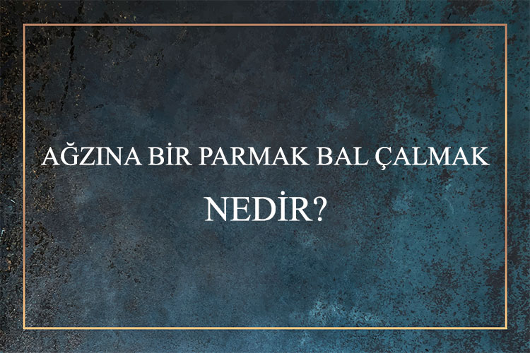 Ağzına Bir Parmak Bal Çalmak Nedir? 1