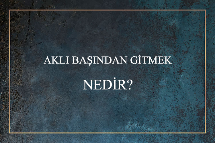 Aklı Başından Gitmek Nedir? 8