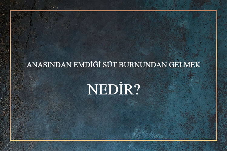 Anasından Emdiği Süt Burnundan Gelmek Nedir? 4