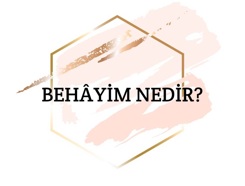 Behâyim Nedir? 1