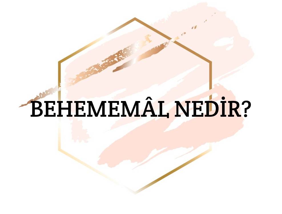 Behemehâl Nedir? 1