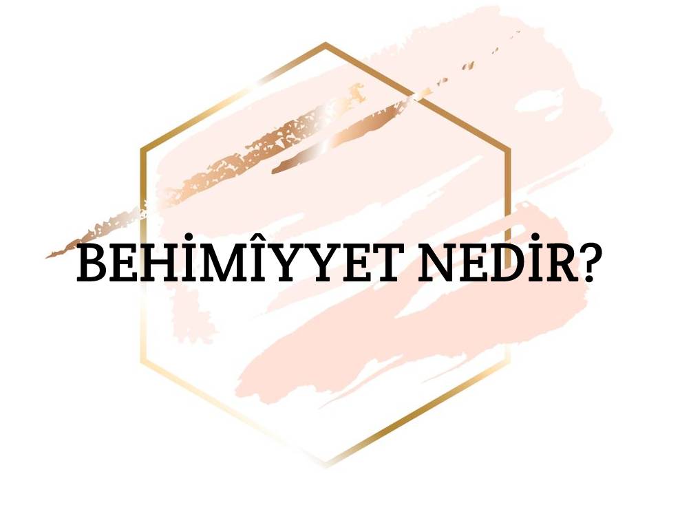 Behimîyyet Nedir? 1