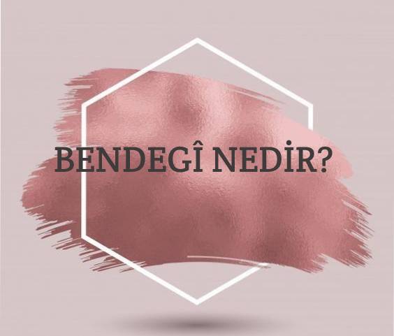 Bendegî Nedir? 1