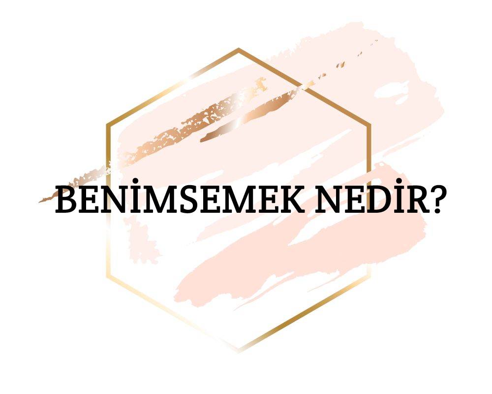 Benimsemek Nedir? 4